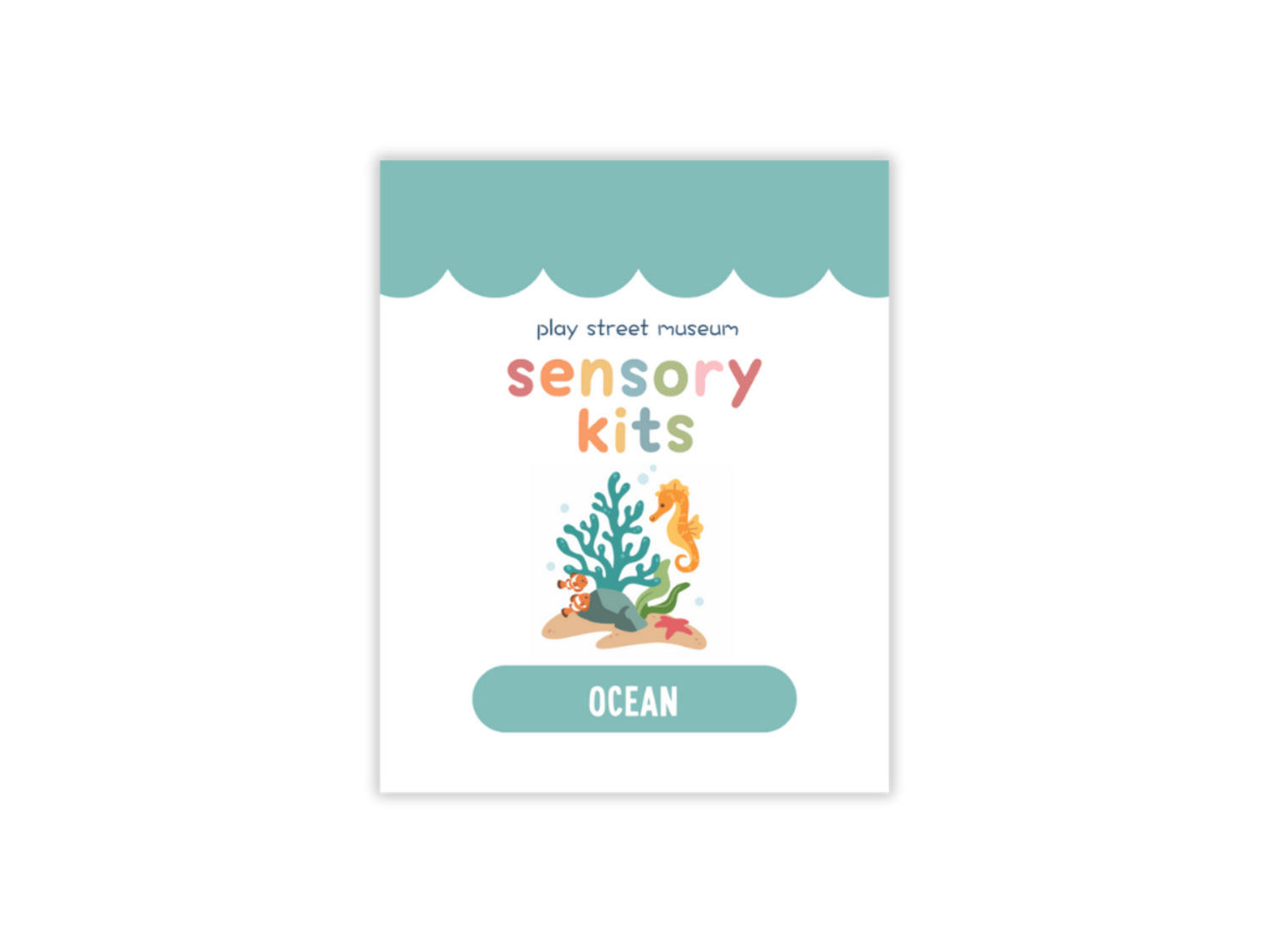 PSM Ocean Sensory Kit